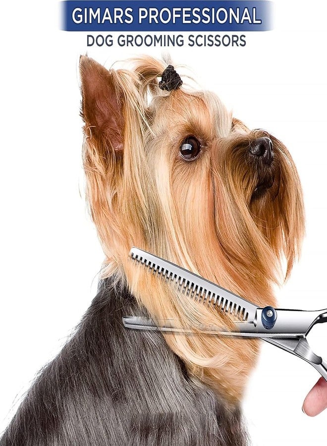 سكويشي مقص تزيين الكلاب، مقص قص شعر الكلاب، مقص أسنان بغطاء وحلقة زرقاء، قطعة واحدة للكلاب والقطط، مثالي لتزيين الحيوانات الأليفة في المنزل أو الصالون - Image 4